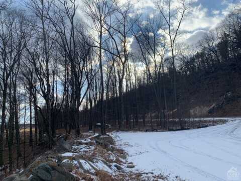 4770 Route 32, Catskill, NY 12414