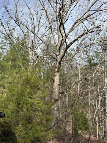 Tbd Hwy 378 E, Edgefield, SC 29824