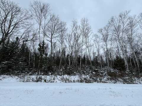 Wilderness Drive, Presque Isle, MI 49777