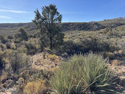 10800 S Quarter Horse Road, Wikieup, AZ 85360