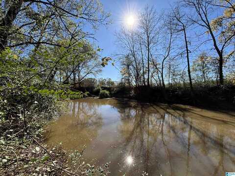 0 CANOE DRIVE, ASHVILLE, AL 35953