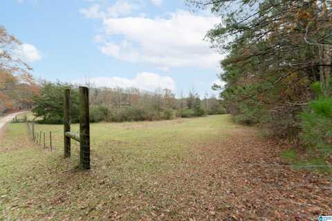 0 CARTER ROAD, VANCE, AL 35490