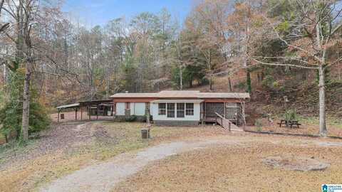 61 COUNTY ROAD 221, THORSBY, AL 35171