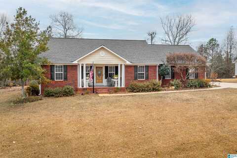 1010 SCENIC DRIVE, ALEXANDRIA, AL 36250