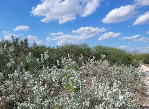 Racoon Drive, George West, TX 78022