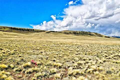 0 Hard Hickory Trail, Hartsel, CO 80449