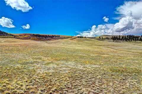 00 Hard Hickory Trail, Hartsel, CO 80449