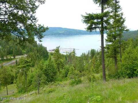 Lot 6 Flying Eagle Dr, Harrison, ID 83833