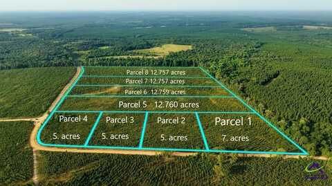 Parcel 4 Whipporwill Road, Reynolds, GA 31076