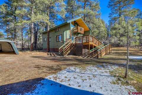 491/461 Elk Drive, Pagosa Springs, CO 81147