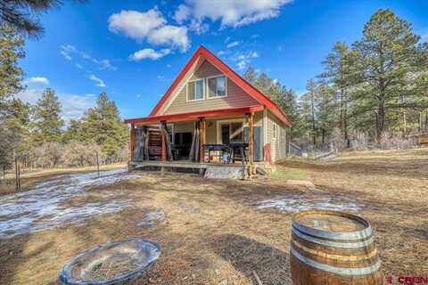 384 Acorn Drive, Pagosa Springs, CO 81147