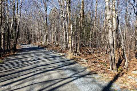 Lot 2 Fire Tower Road, Grafton, NY 12138