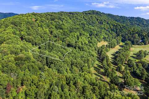 1010 High Vista Drive, Mills River, NC 28759