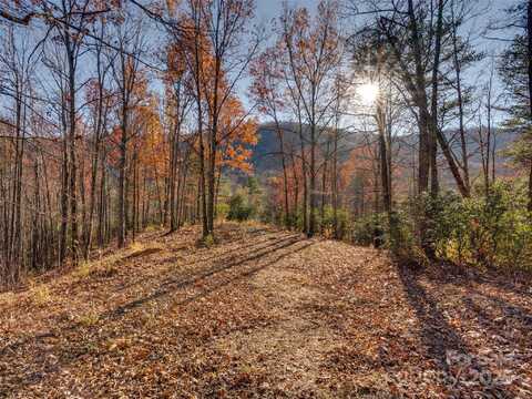 263 Nuthatch Lane, Black Mountain, NC 28711