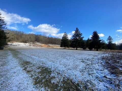 Saylor School Road - 85 Acres +/-, Johnstown, PA 15905