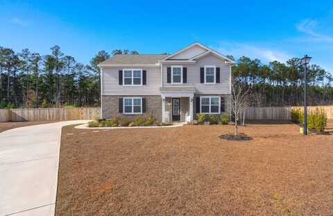 117 Wild Orchid Way, Huger, SC 29450