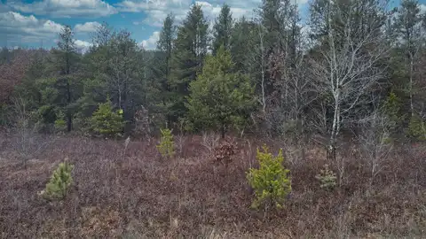 LOT 2 RIVER RIDGE CIRCLE, Plover, WI 54467