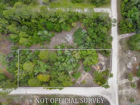 000 352nd St, Suwannee, FL 32692
