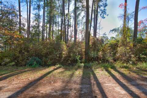 Tbd Pepper Tree Road, Santa Rosa Beach, FL 32459