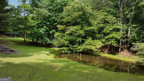 284 Tickanetley, Ellijay, GA 30536