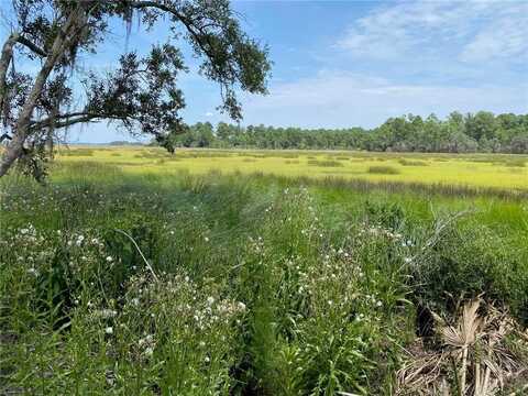 Lot 23 Barnstorm Road, Townsend, GA 31331