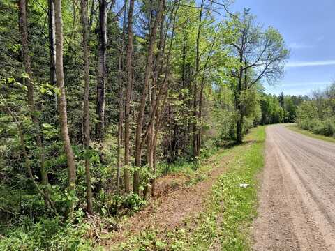 On BASS LAKE RD, Watersmeet, MI 49969