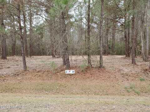 Lot 61 Eagle Trace Drive, Blounts Creek, NC 27814