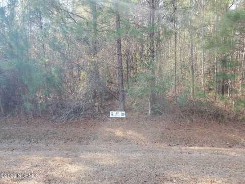 Lot 60 Eagle Trace Drive, Blounts Creek, NC 27814