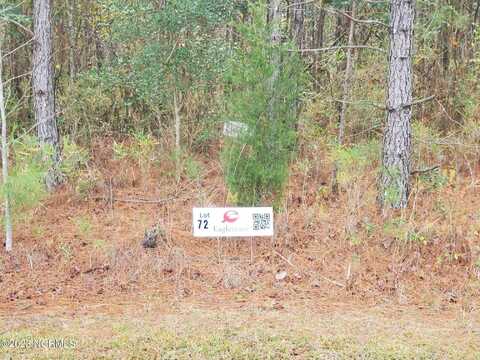 Lot 72 Eagle Nest Trail, Blounts Creek, NC 27814