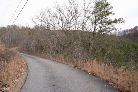Parcel 85 Trace Way, Sevierville, TN 37862