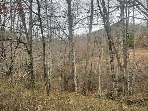 High Meadows Lane, Alderson, WV 24910