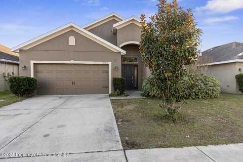 30910 Satinleaf Run, Brooksville, FL 34602