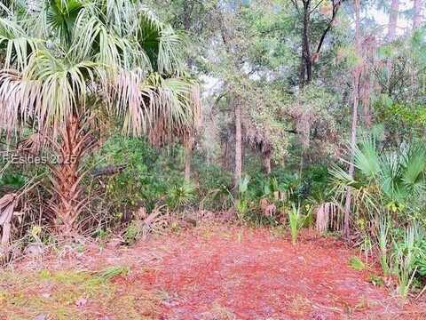 10 Ocean Marsh Court, Saint Helena Island, SC 29920