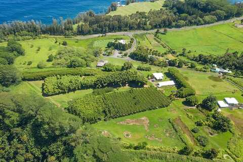 28-1829 OLD MAMALAHOA HWY, HONOMU, HI 96728