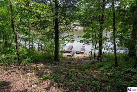 3 S Lakeside Drive, Leitchfield, KY 42754