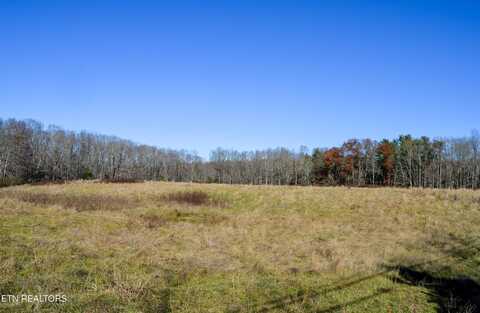 Sparta Hwy 31.65 +/- Acres, Crossville, TN 38555