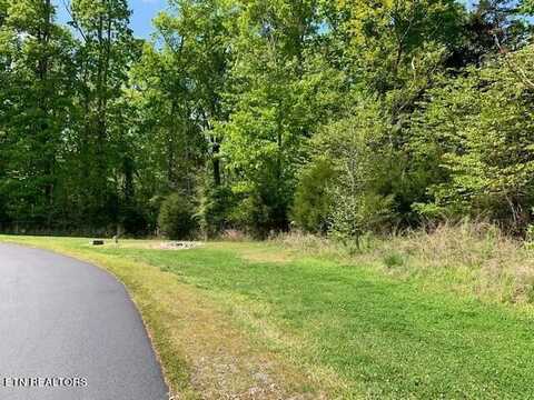 E Shore Drive, Rockwood, TN 37854