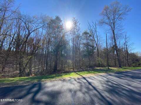 Eagle Ridge Drive, Rockwood, TN 37854