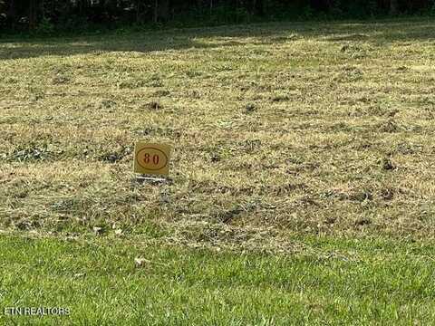 E Shore Drive, Rockwood, TN 37854