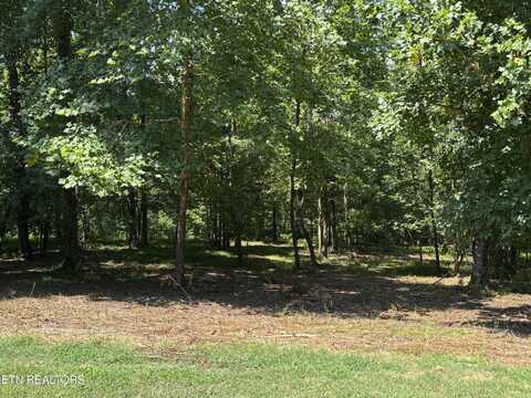 371 Walking Horse Tr, Rockwood, TN 37854