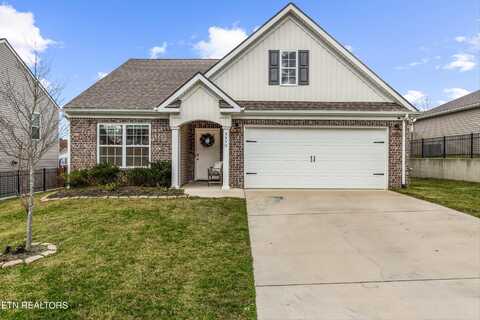 9550 Joy Denise Lane, Heiskell, TN 37754