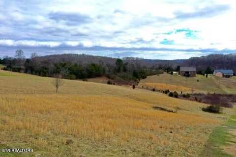 215 Majestic View Drive, Rockwood, TN 37854