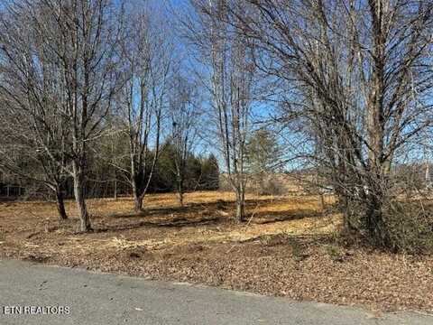 Lot 23+ Goddard Lane, Dandridge, TN 37725