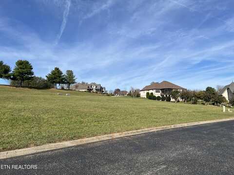 740 Rarity Bay Pkwy, Vonore, TN 37885