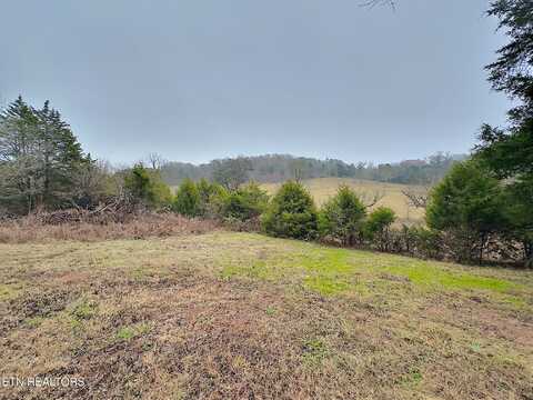 159 Doc Miller Rd, Madisonville, TN 37354