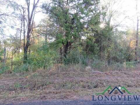 Tbd OWL RD, New Diana, TX 75604