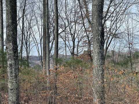 Lot 84 Stillwater, Russell Springs, KY 42642