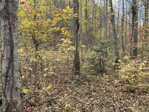 70 Millstone Road, Clay City, KY 40312