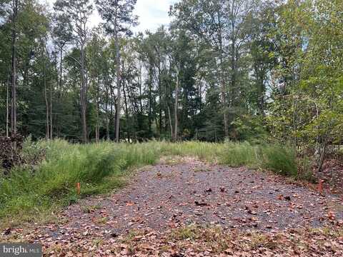 LOT 1955 MAYFLOWER DR, GREENBACKVILLE, VA 23356