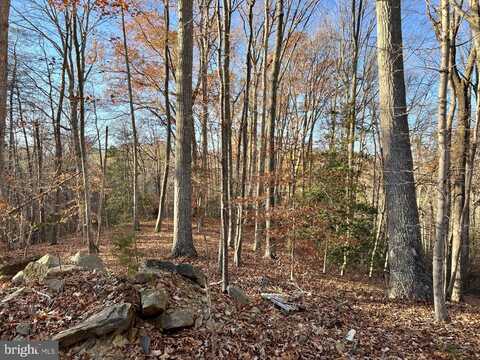 LOT 2 SANDY RIDGE RD, FREDERICKSBURG, VA 22405